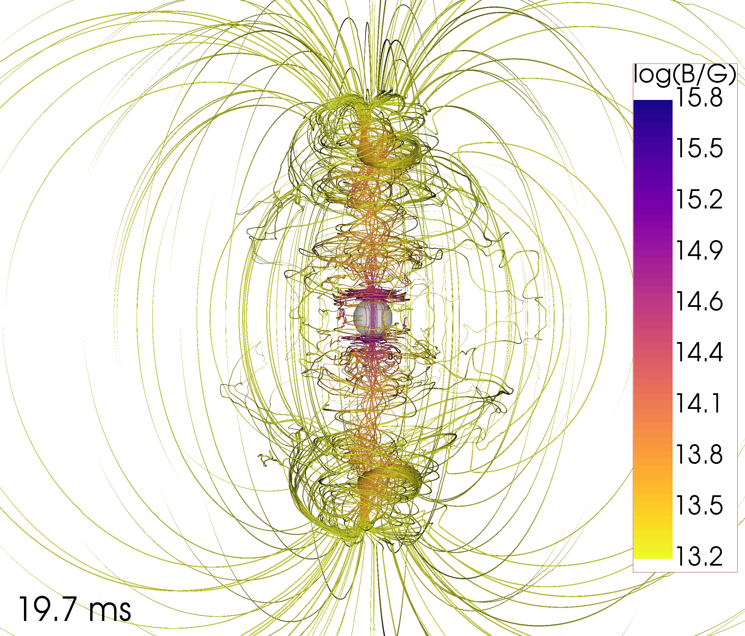 Three-dimensional magnetic field lines around a rotating neutron star at 19.7 milliseconds, colored by magnetic field strength